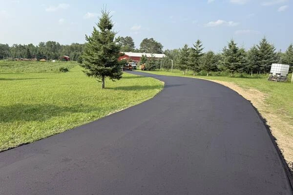 Professional paver Professional paver